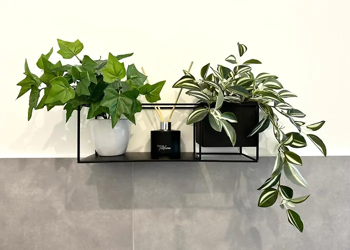 Matejki ~ Self Check-in 24 ~ Parking Apartamento